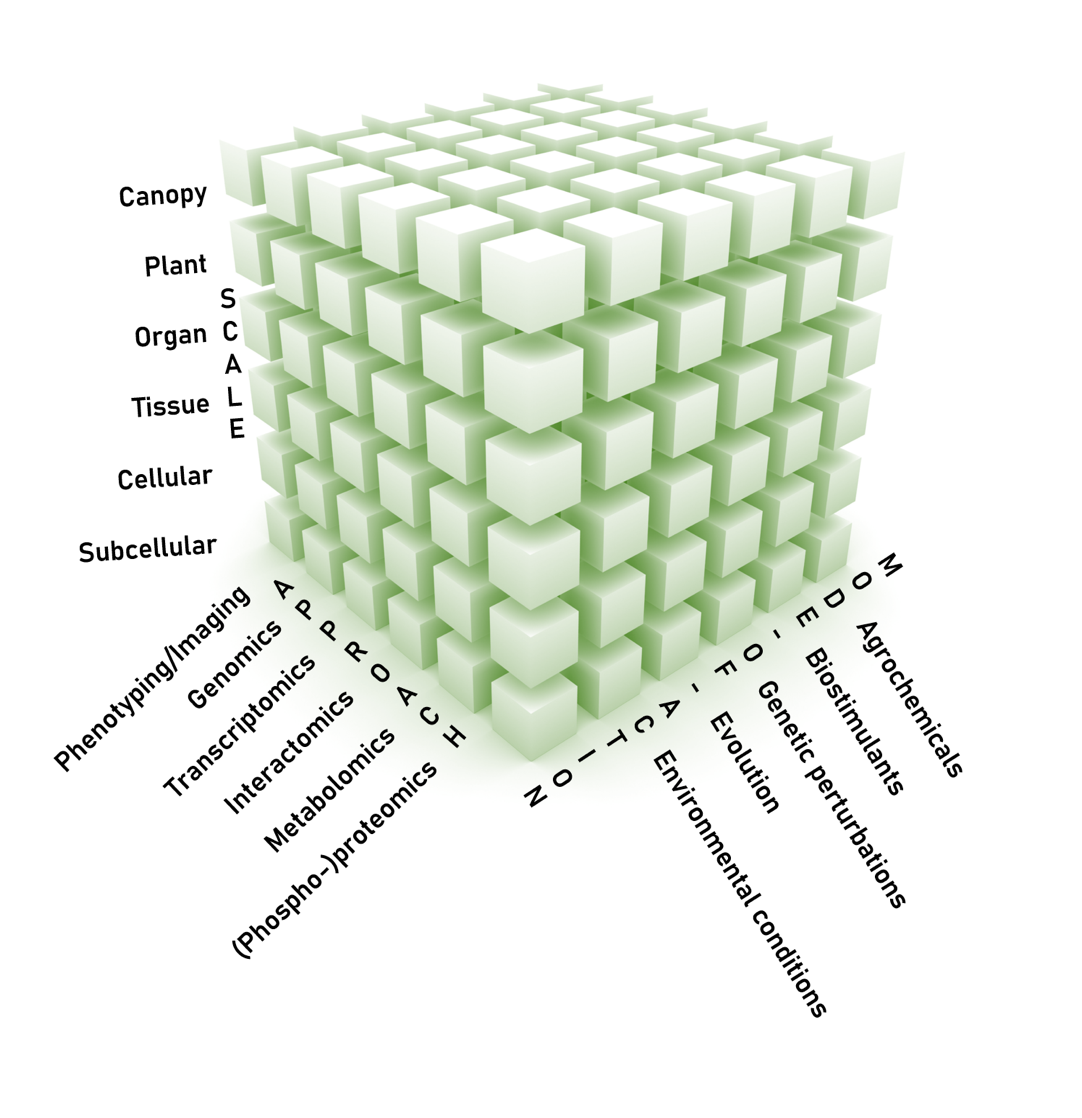 PSB’s cube of molecular, multidimensional, and modular plant research