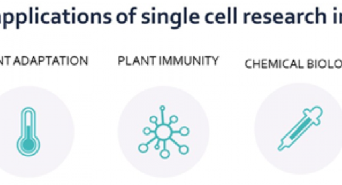Plant Single Cell Platform 1
