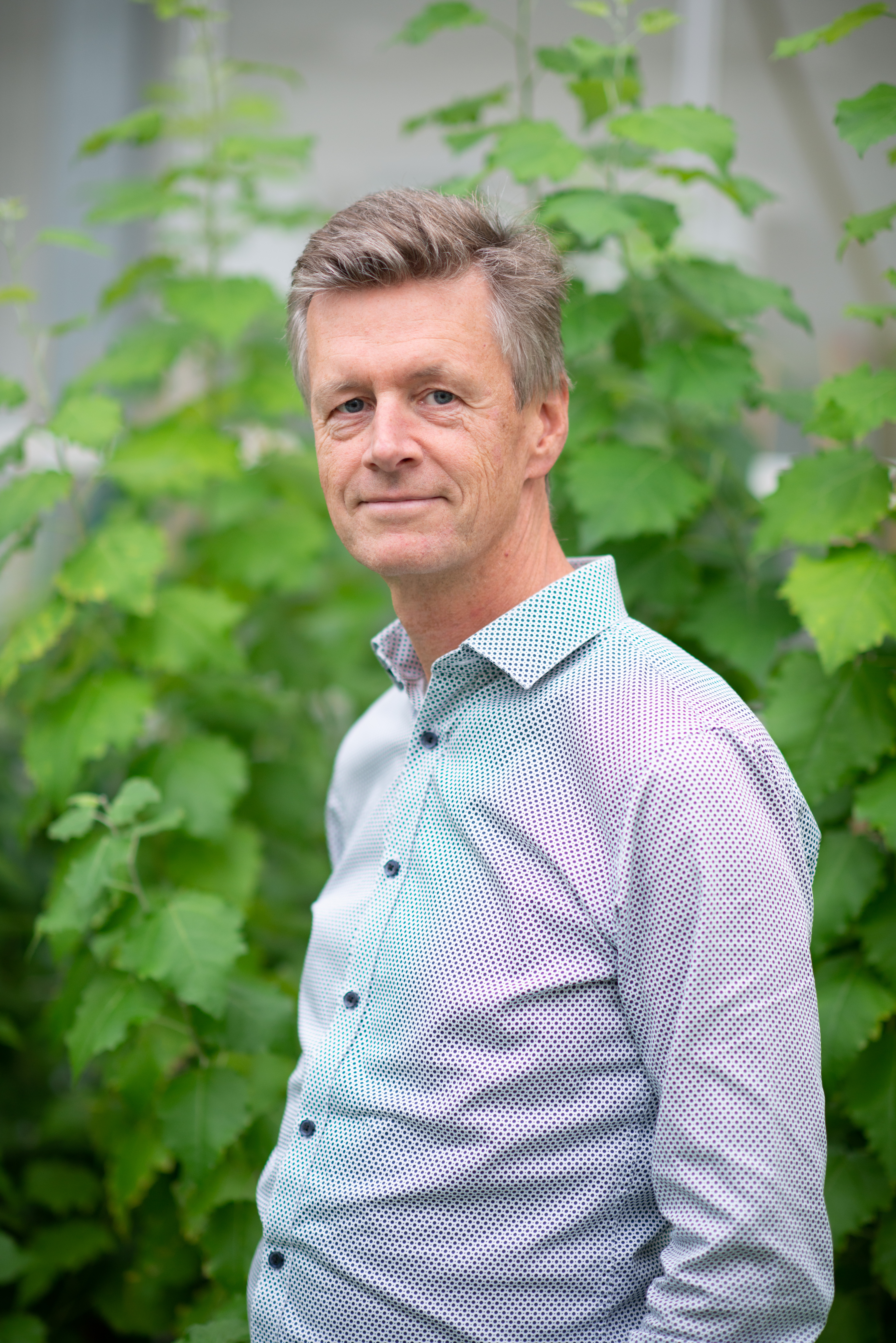 Wout Boerjan