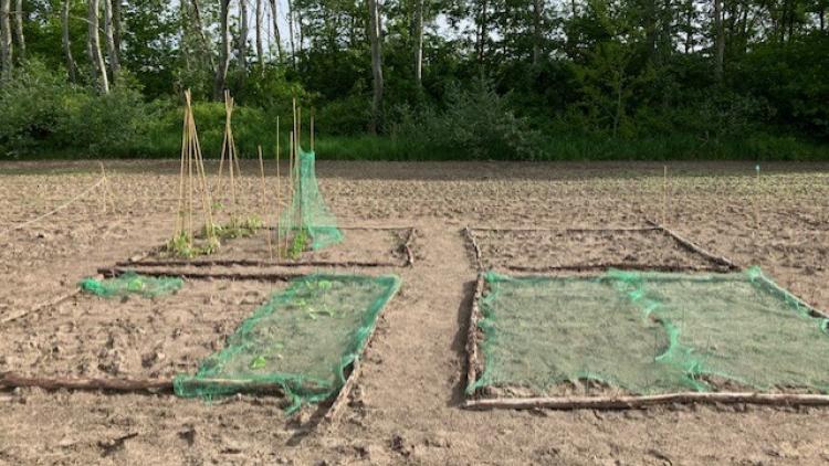 field2