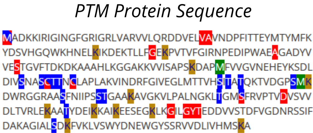 Protein Search