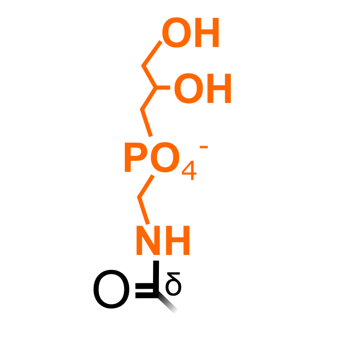 Ethanolamine phosphoglycerylation