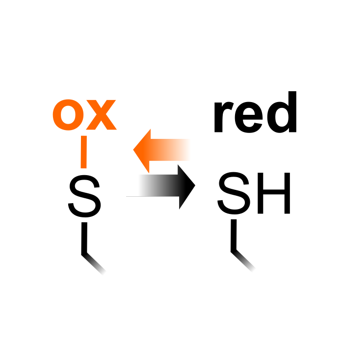 Reversible Cysteine Oxidation