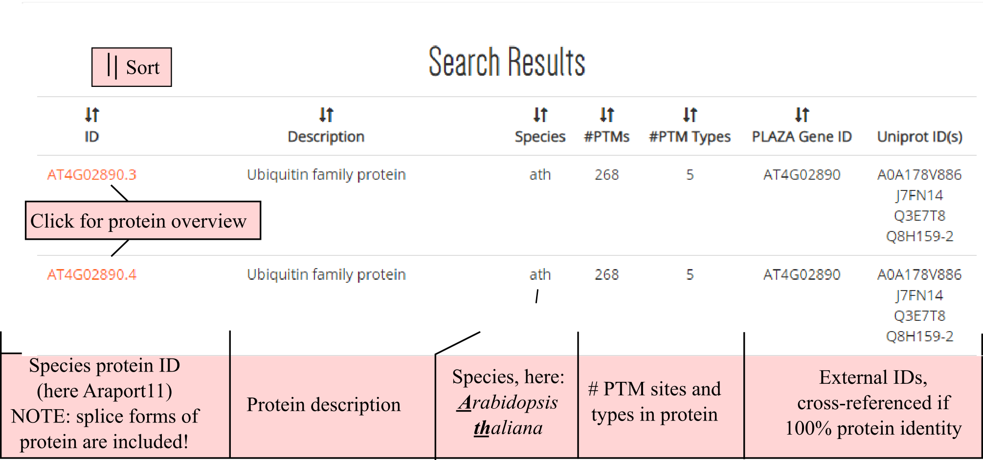 ProteinSearchImageB